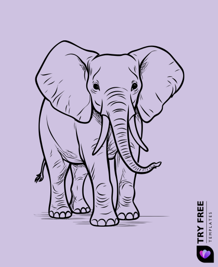 Elegant Full-Grown Elephant
