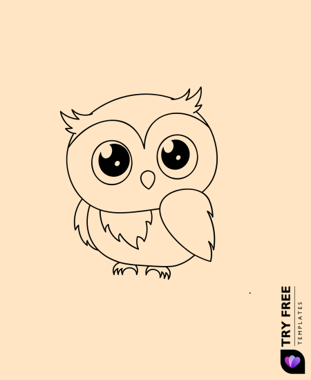 Shy Owl Drawings