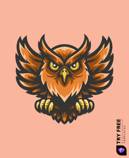 Fierce and Feathered Owl Drawings