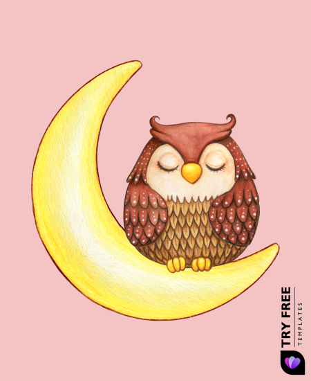 Moonlight Snooze Owl​ Drawings