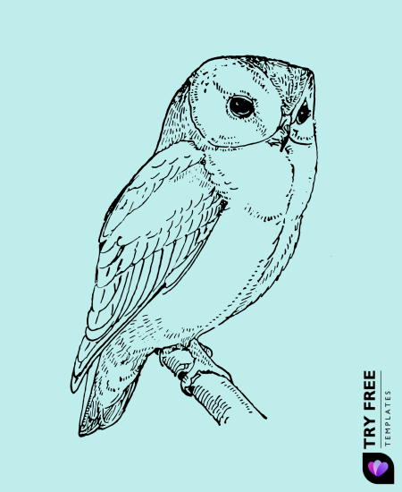 Realistic Barn Owl