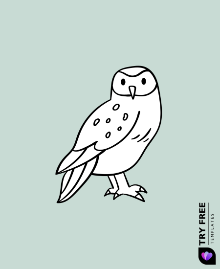 Simple Barn Owl Drawings