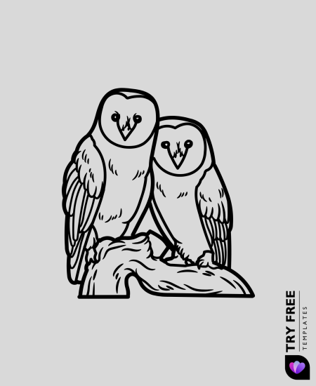 Owl Companions drawings